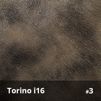 Torino i16 3